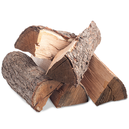 Pecan 5 Logs