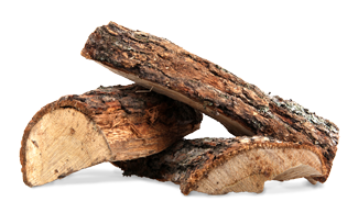 Pinion Pine 5 Logs